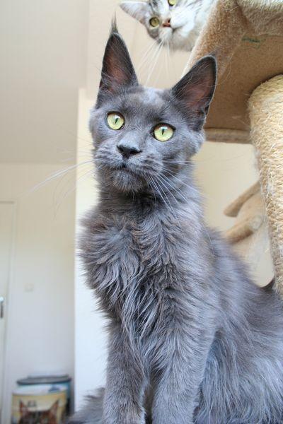 10 mois (1).JPG